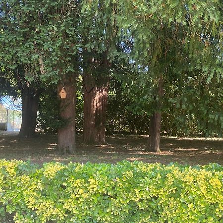Вилла Domaine De La Mouleyre A Cenac Proche Bordeaux Carignan-de-Bordeaux Экстерьер фото